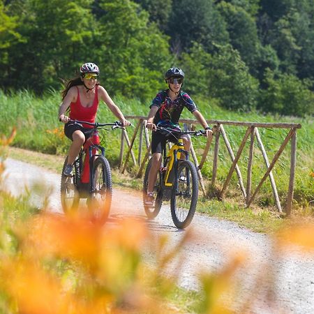 I Laghee Casette Breva E Tivano -Garden-Parking-Lake View - Bike Friendly Holiday House Колико Екстериор снимка