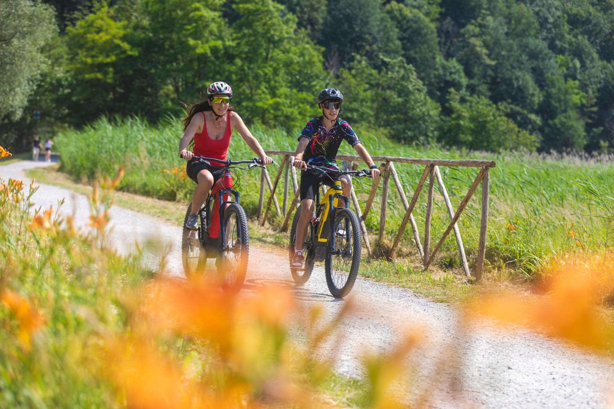 I Laghee Casette Breva E Tivano -Garden-Parking-Lake View - Bike Friendly Holiday House Колико Екстериор снимка